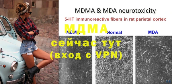 ALPHA PVP Иннополис