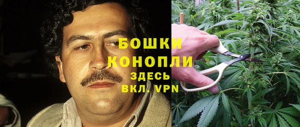 ALPHA PVP Иннополис