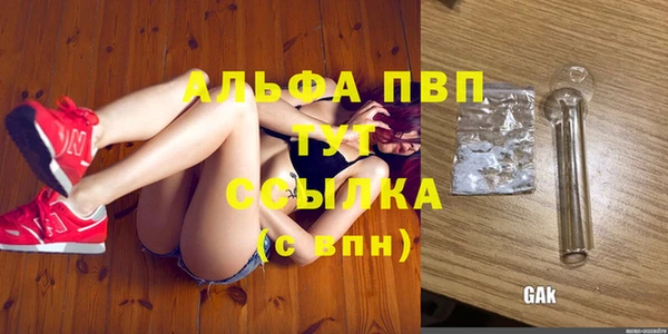 ALPHA PVP Иннополис